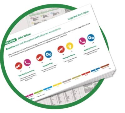 Interplace teamrol rapport